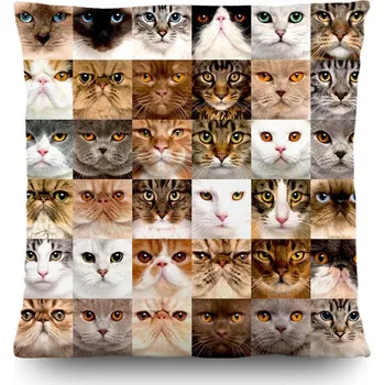 Dekorativní polštářek Dekorační polštář Cats 45x45cm CN 3615
