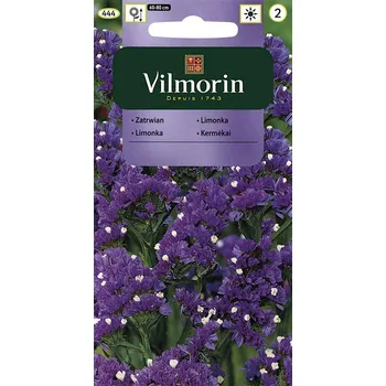 Semeno Limonka chobotnatá Twilight (fialová)