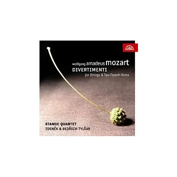 Česká hudba Zdeněk Tylšar, Bedřich Tylšar, Stamicovo kvarteto – Mozart: Divertimenta pro smyčcové kvarteto a dva lesní rohy CD - DOPRAVA ZDARMA od 2 000 Kč