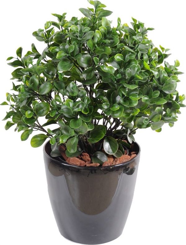 Luxusní umělý keř PEPEROMIA PLAST, 60cm