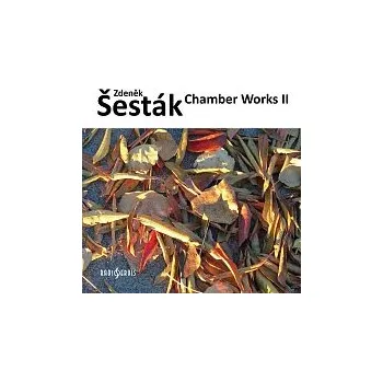 Různí interpreti – Komorní tvorba II CD - DOPRAVA ZDARMA od 2 000 Kč