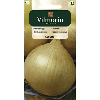Semeno Cibule Augusta (ozimá)