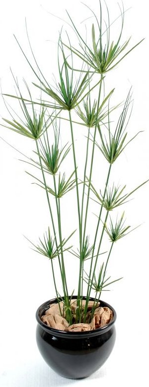 Luxusní umělá rostlina Šáchor, 160cm