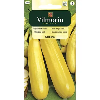 Semeno Cuketa (tykev obecná) Goldena