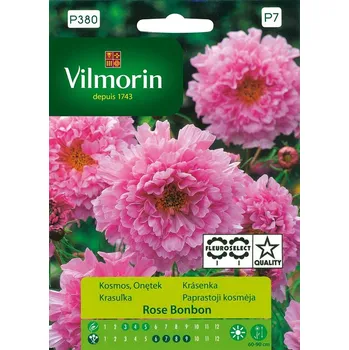 Semeno VILMORIN Tradiční Semena Kosmos Růžový KRÁSENKA 0,5G Skvělý KRÁSENKA ZPEŘENÁ (krásenka)