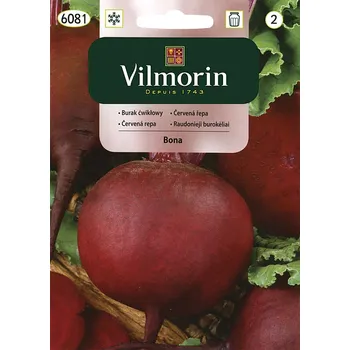 Semeno Červená řepa Bona