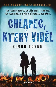 Chlapec, který viděl - Simon Toyne (2019, pevná)