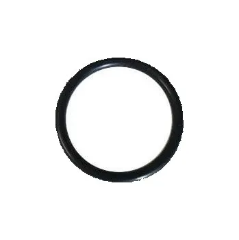 Palivový systém pro motocykl Okroužek příruby karburátoru 29x2,4 XMOTOS XB33 125cc