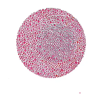 Zahraniční hudba An Abundance Of Strawberries - Julia Brown [LP]