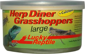 Krmivo pro terarijní zvíře Lucky Reptile Herp Diner sarančata 35 g