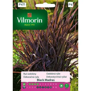 Semeno Ozdobná rýže Black Madras