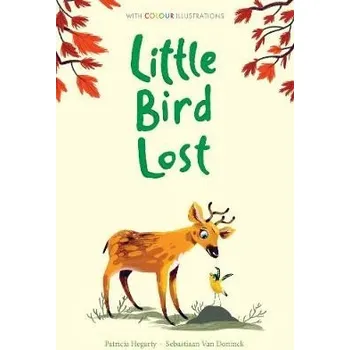Cizojazyčná kniha Little Bird Lost - Hegarty, Patricia