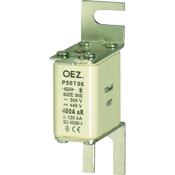 pojistka OEZ P50T06 10A 06646