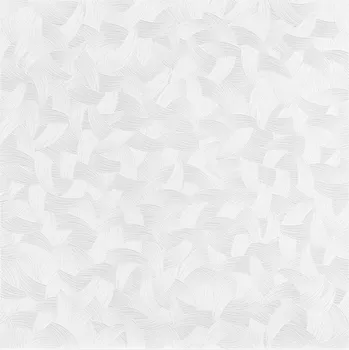 Stavební deska Polystyrenové stropní kazety TANGO bílá