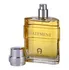 Pánský parfém Aigner Statement M EDT 125 ml
