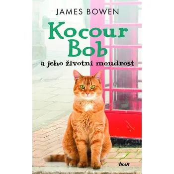 Kocour Bob a jeho životní moudrost -…