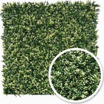 umělý živý plot Buxus panašovaný Premium 100 x 100 cm