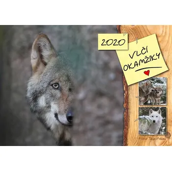 Kalendář Élysion Kalendář 2020 Vlčí okamžiky