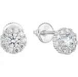 Evolution Group 11295.1