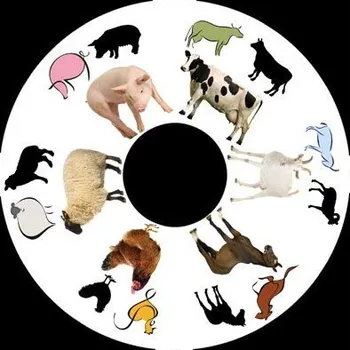 Projektor Projektor LED 80-FX Kotouček Farma