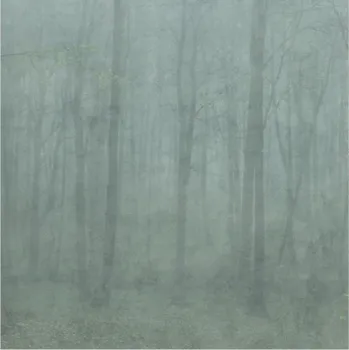 Tapeta Sandberg Tapeta Skog 622-08