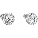 Evolution Group 31336.1