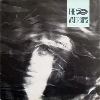Zahraniční hudba The Waterboys - The Waterboys [LP]
