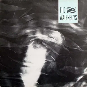 Zahraniční hudba The Waterboys - The Waterboys [LP]