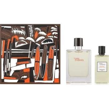 Hermès Terre d'Hermès M EDT, 100 ml + sprchový gel 80 ml