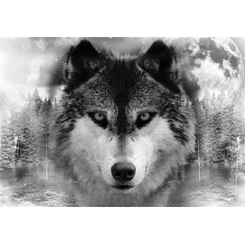Fototapeta Vliesové fototapety vlk 10147 V8