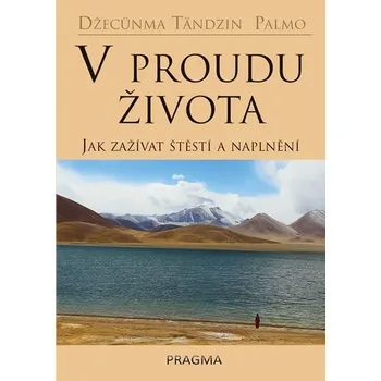 V proudu života: Jak zažívat štěstí a…