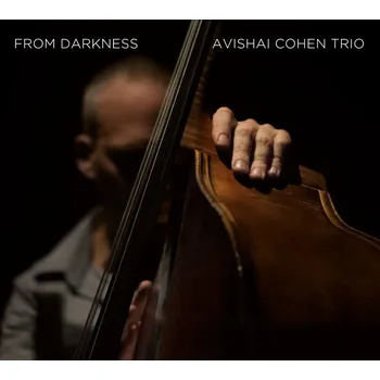 Zahraniční hudba From Darkness - Avishai Cohen Trio [LP]