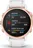 Chytré hodinky Garmin Fenix 6S Pro