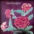 Zahraniční hudba Something/Anything? - Todd Rundgren [2LP] (Coloured)