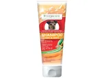 Bogar Bogacare Shampoo Dry & Soft 200 ml