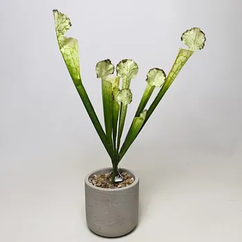 umělá květina Umělá Sarracenia světle zelená 45cm - Nezalévat