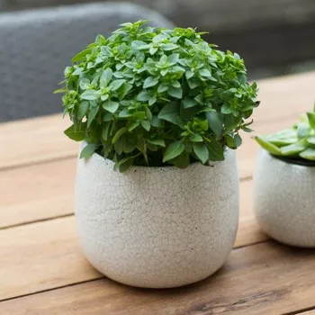 Květináč Keramický květináč Ravello 15,5 cm