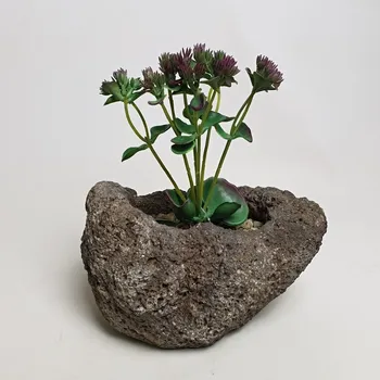 umělá květina Umělý sukulent 19cm - Do interiéru