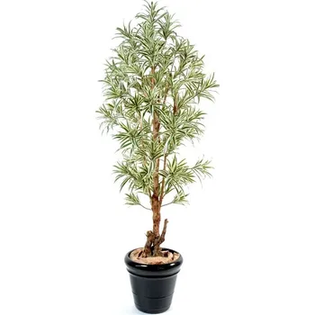 umělá květina DRACAENA REFLEXA STROM zelená/žlutá, 150cm (Luxusní umělý strom)