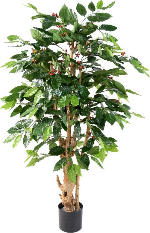 KVETOUCÍ KÁVOVNÍK GNARLED, 150cm (Luxusní umělý strom)