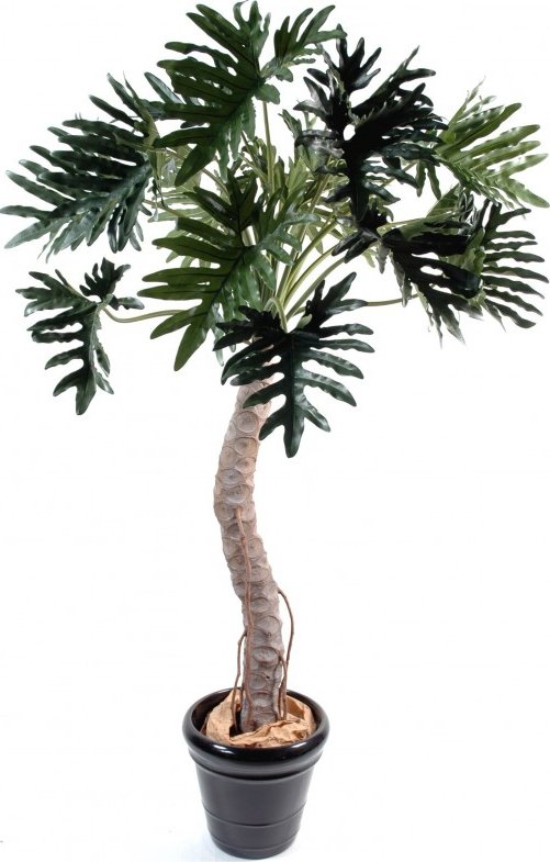 PHILODENDRON SELLOUM STROM, 210cm (Luxusní umělý strom)