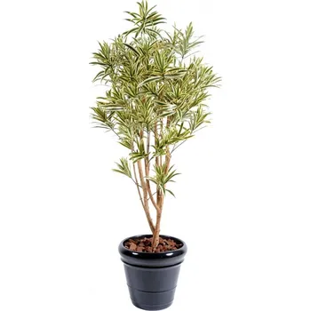 umělá květina DRACAENA BUSH REFLEXA zelená/žlutá, 160cm (Luxusní umělý strom)