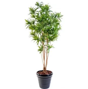 umělá květina DRACAENA BUSH REFLEXA, 180cm (Luxusní umělý strom)