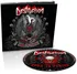 Zahraniční hudba Born To Perish - Destruction [CD]