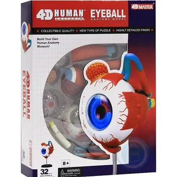 Výuková hračka 4D Master Anatomie člověka oko