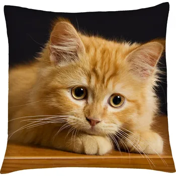 Polštář MyBestHome PRINT Polštář s motivem kočky 05 Mybesthome 40x40 cm Varianta: Povlak na polštář s prošívanou výplní, 40x40 cm