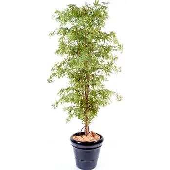 umělá květina ARALIA NEW MAPLE zelená/ červená, 180cm (Luxusní umělý strom)
