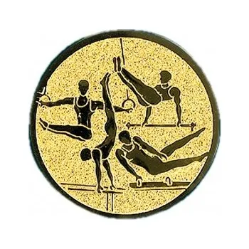 Emblém gymnastika sportovní muži Barva: stříbro, Průměr: 5,0 cm