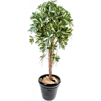 umělá květina VertEspace SEFFLERA BABY TREE 150 cm zelená/ žlutá