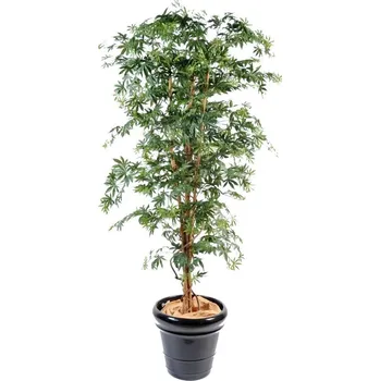 umělá květina ARALIA NEW MAPLE, 180cm (Luxusní umělý strom)